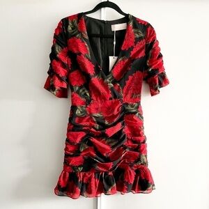 Keepsake THE LABEL Find You Dress (REVOLVE)